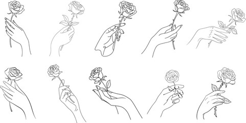Drawing of a Beautiful woman hand holding flower of rose line art collection, outline sketch line art design on white background.