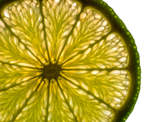 Fresh Lime Slice Cut Out for Culinary, Beverage, and Healthy Eating Concept