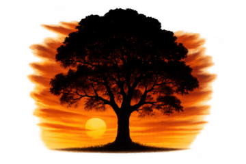 Tree silhouette with golden yellow setting sun creating a peaceful nature landscape, transparent background