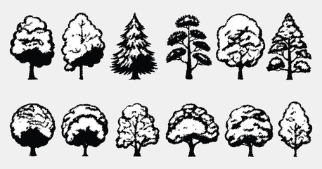 CAD tree line drawing, side view, set of graphics trees elements, tree sketches, silhouette tree vector element, detailed vector collection suitable for architects, landscape designers, garden plannin