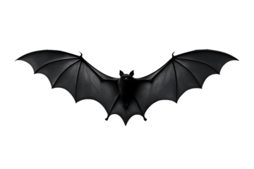 Black Bat with Spread Wings on White Background