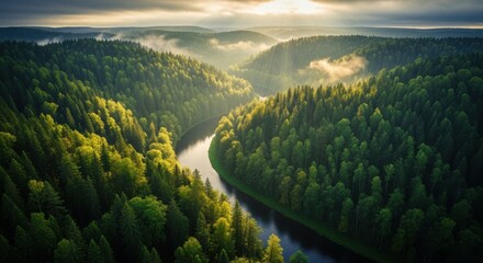 Picturesque river winding through lush green forest landscape at sunrise misty morning