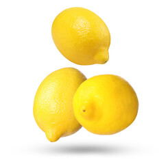 Fresh lemons falling on white background. Citrus fruit