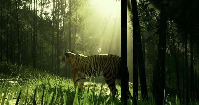 A stunning tiger wanders gracefully among tall grass and dense trees. Sunlight filters through the forest canopy, illuminating the vibrant surroundings at dawn.