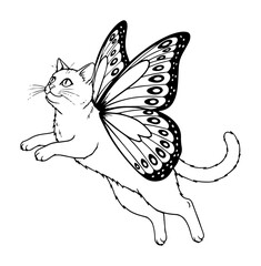 flying cat with butterfly wings vector illustration