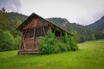 Old wooden shed surrounded by green grass and bushes in a rural meadow with forested mountains in the background