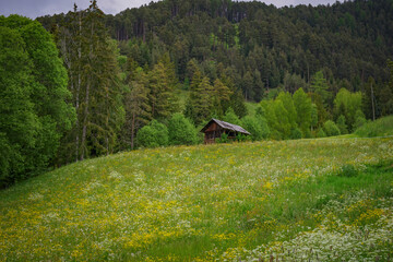 Old wooden shed surrounded by green grass and bushes in a rural meadow with forested mountains in the background