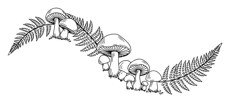 hand drawn mushrooms and fern leaves decorative composition