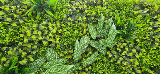 A variety of artificial tree backdrops. Made from synthetic materials such as plastic, cloth,...