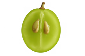 Green grape half showing pulp, seeds, and stem, fresh fruit cross section for healthy eating concept