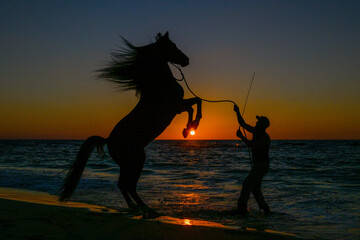 Horse Rearing on the Beach at Sunset