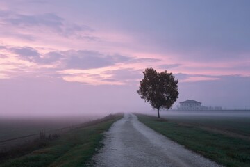 Serene rural landscape at sunrise with lone tree and misty pathway