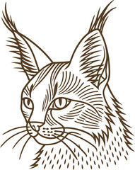 Naklejka premium lynx head line art illustration wild feline portrait, detailed outline drawing with pointed ears and expressive eyes