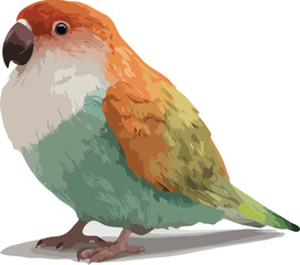 vector illustration of bird
