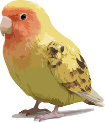 vector illustration of bird