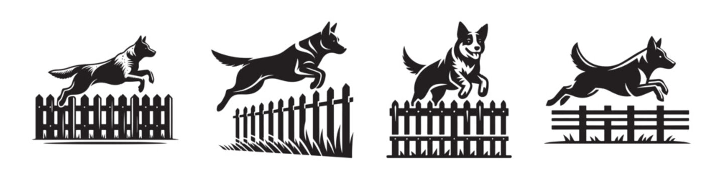 Dog Agility Training: Jumping Over Fences in Silhouette.