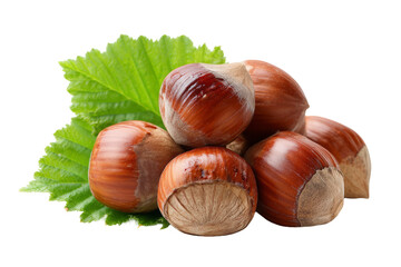 Fototapeta premium Hazelnuts with Green Leaf – Healthy Nuts and Natural Snack