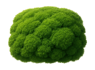 Dense, vibrant green moss cushion with a soft, plush texture.