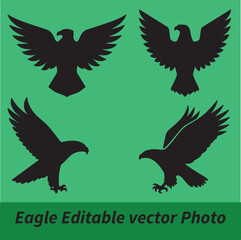 Detailed analysis of eps file metadata reveals adobe illustrator document properties and color information