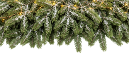 Snowy Christmas Tree Branches With Lights Cut Out PNG.