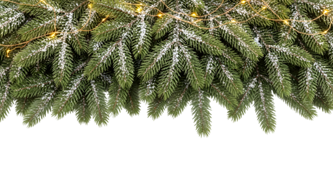 Snowy Christmas Tree Branches With Lights Cut Out PNG.