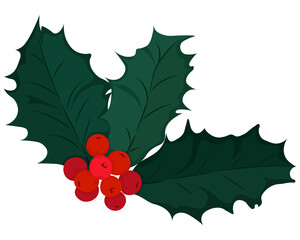 Hand Drawn of Holly with Red Berries, Vintage, Christmas Plant, Aesthetic, Sprig of Holly