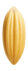 Obraz premium Elongated wheat seed with a ridged texture and light golden color.