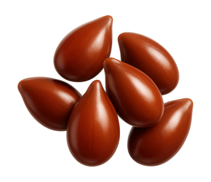 Small, shiny teardrop-shaped seeds in reddish-brown hue.