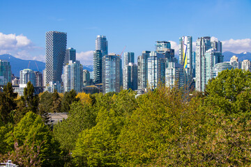 Obraz premium Vancouver City Skyline View over Green Trees on a Sunny Day