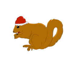 Squirrel wearing christmas hat