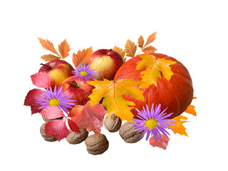 Autumn arrangement of pumpkin, flowers, leaves and nuts
