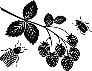 Life in a Strawberry Field: Insects and Fruit