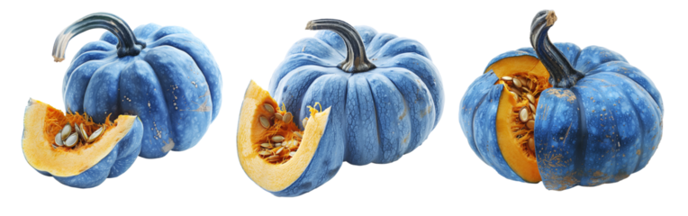 Connecticut pumpkin with green stem and cut slice isolated on white transparent background, great for autumn themes and decorations