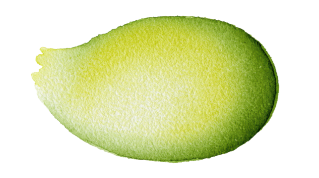 Watercolor paint stroke blending green and yellow shades, creating an artistic abstract splash texture, isolated on a transparent background for spring and nature designs, png