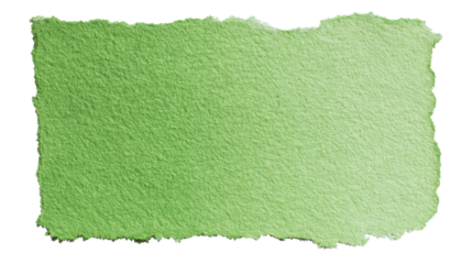 Green textured handmade paper with torn ripped edges, rough surface, light watercolor wash effect, natural pale abstract backdrop on transparent background, png