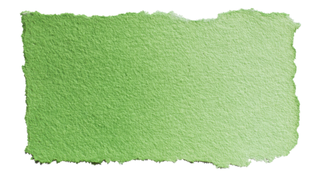 Green textured handmade paper with torn ripped edges, rough surface, light watercolor wash effect, natural pale abstract backdrop on transparent background, png