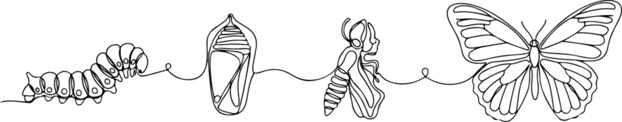metamorphosis of a caterpillar into a butterfly