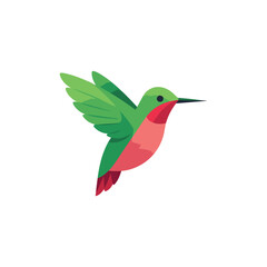 Colorful hummingbird hovers midair gracefully