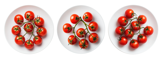 Ripe red cherry tomatoes on the vine placed on white plate against isolated on transparent background. Concept of fresh organic vegetables and healthy eating