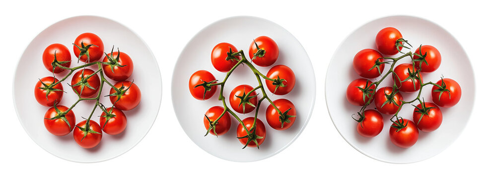 Ripe red cherry tomatoes on the vine placed on white plate against isolated on transparent background. Concept of fresh organic vegetables and healthy eating