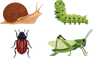 Collection of Illustrations of Insects and Garden Pests