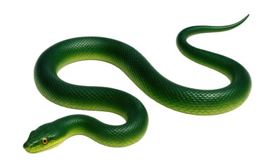 Naklejka premium Illustration of a sleek, modern snake with no limbs.