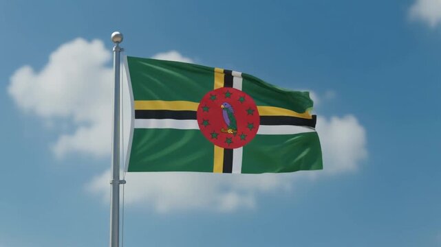 Flag of commonwealth of Dominica waving in wind against blue sky background