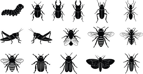 A collection of black silhouettes of various types of insects such as caterpillars, beetles, grasshoppers, flies, bees, ants, and moths on a white background.