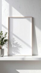 Blank white frame with plant and sunlight shadows.