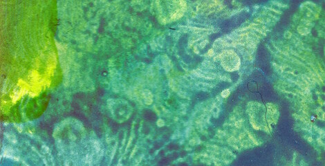 Oil-Painted Liquid Art with Vibrant Translucent Colors