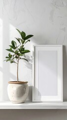 Minimalist home decor with a potted plant and a blank white frame on a shelf.
