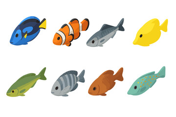 Fototapeta premium Collection of colorful tropical and saltwater fish icons in isometric style