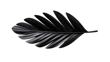 Black Leaf on Transparent Background
