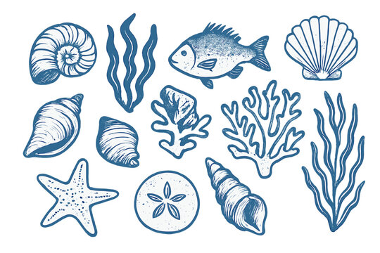 Blue nautical sea life collection featuring shells and coral
